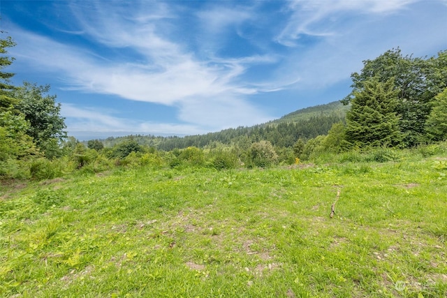 9999 Crescent Bay Ln, Port Angeles, WA 98363 - photo 15