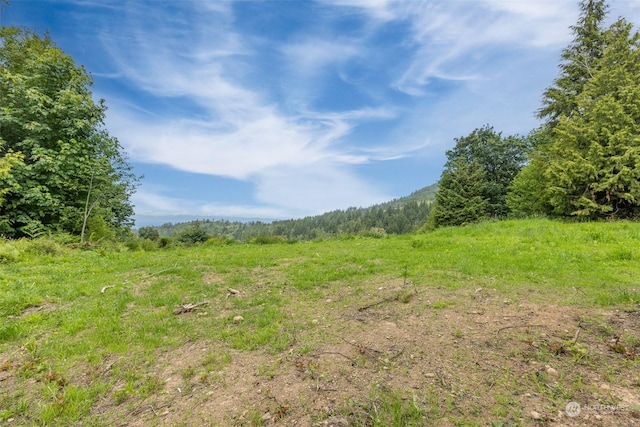 9999 Crescent Bay Ln, Port Angeles, WA 98363 - photo 19