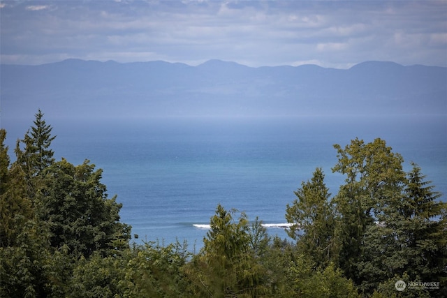 9999 Crescent Bay Ln, Port Angeles, WA 98363 - photo 22