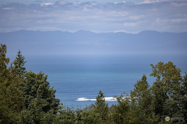 9999 Crescent Bay Ln, Port Angeles, WA 98363 - photo 23