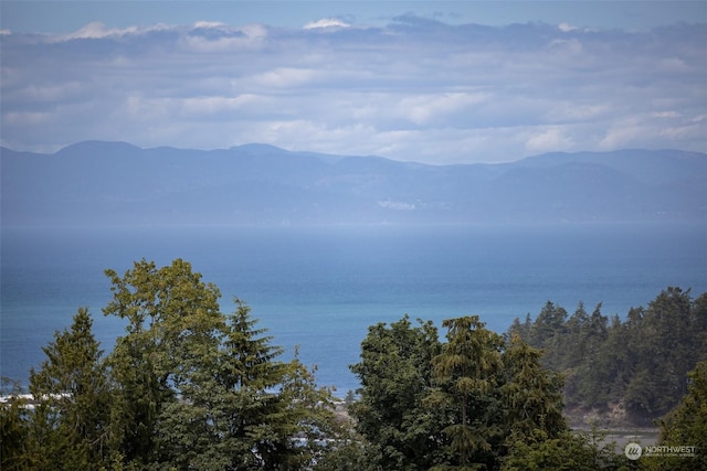 9999 Crescent Bay Ln, Port Angeles, WA 98363 - photo 24
