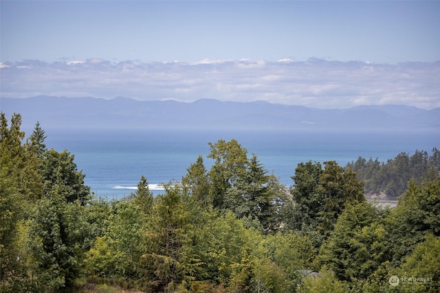 9999 Crescent Bay Ln, Port Angeles, WA 98363 - photo 25