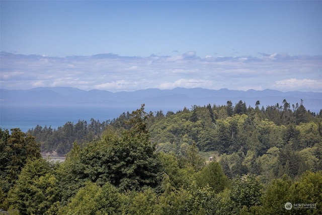 9999 Crescent Bay Ln, Port Angeles, WA 98363 - photo 26