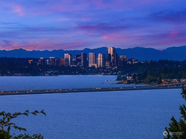 2501 Cascadia Ave S, Seattle, WA 98144 - photo 40