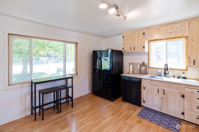 kitchen with plenty of natural light, sink, black appliances, and light hardwood / wood-style floors