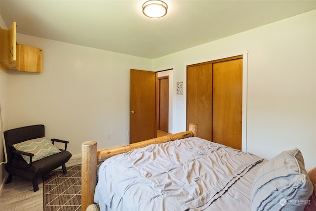 bedroom featuring wood-type flooring and a closet