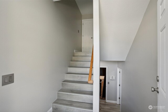 staircase featuring wood-type flooring