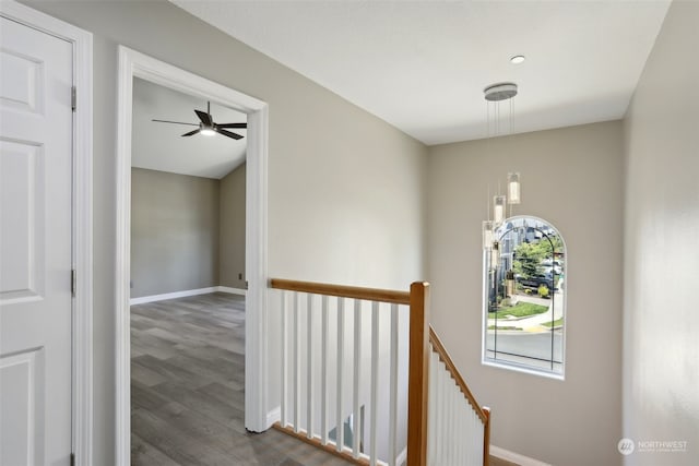 hall featuring dark hardwood / wood-style flooring