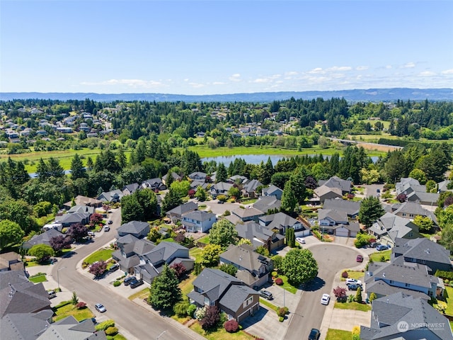 2701 NW 142nd Cir, Vancouver, WA 98685 - photo 5