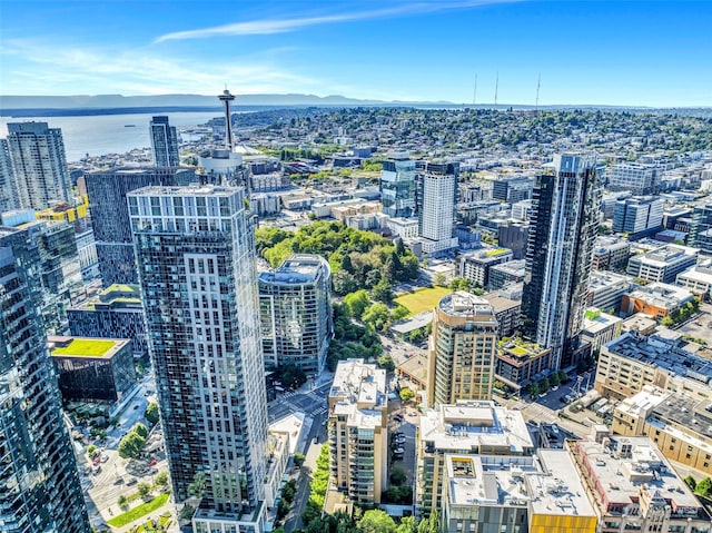 city view featuring a water and mountain view