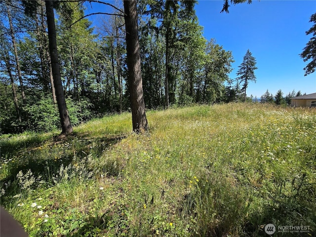 0 Olivia Ln, Kalama WA, 98625 land for sale