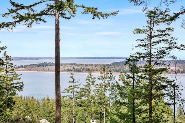 3075 Hales Passage Dr Lot 4, Lummi Island WA, 98262 land for sale