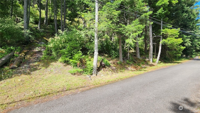 Listing photo 3 for 3075 Hales Passage Dr Lot 4, Lummi Island WA 98262