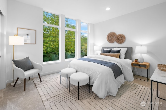 view of carpeted bedroom