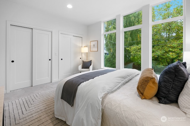 carpeted bedroom featuring two closets