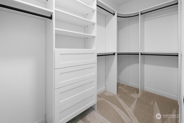 spacious closet featuring light carpet