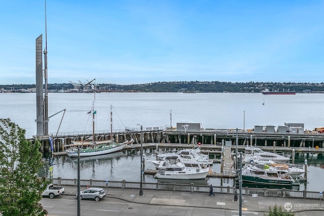 water view with a boat dock