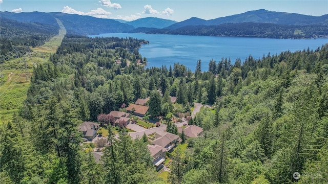 bird's eye view with a water and mountain view