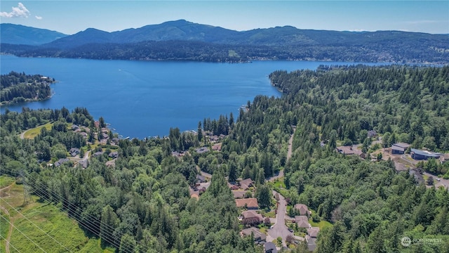 bird's eye view featuring a water and mountain view