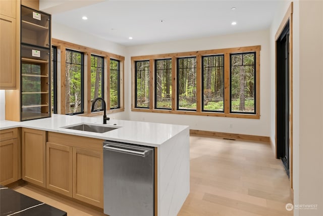 kitchen with light hardwood / wood-style flooring, stainless steel dishwasher, a healthy amount of sunlight, and sink