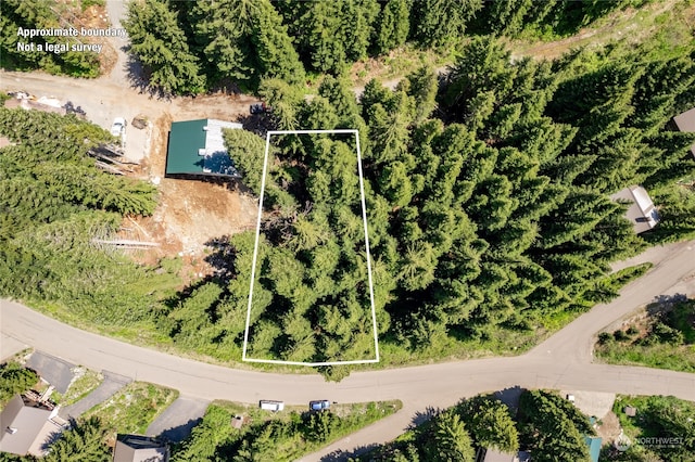 16 Ober Straase, Snoqualmie Pass WA, 98068 land for sale