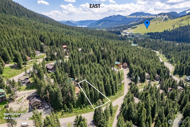 16 Ober Straase, Snoqualmie Pass, WA 98068