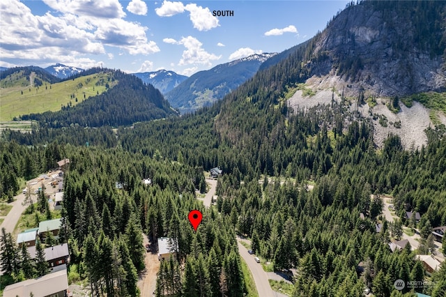 16 Ober Straase, Snoqualmie Pass, WA 98068