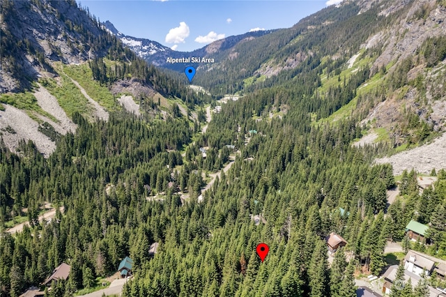 16 Ober Straase, Snoqualmie Pass, WA 98068