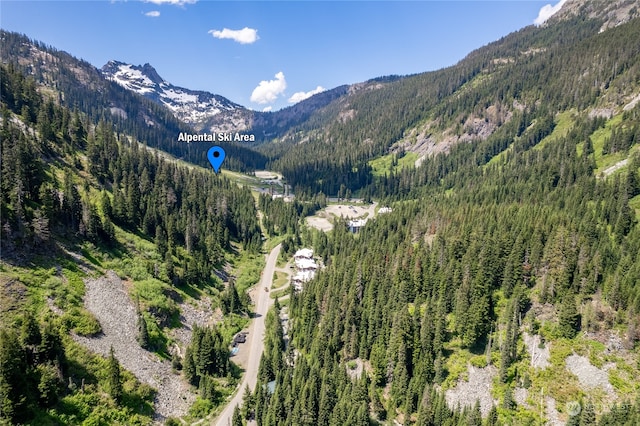 16 Ober Straase, Snoqualmie Pass, WA 98068