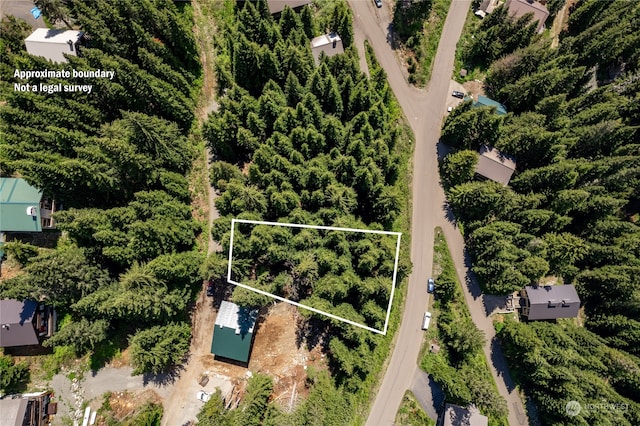 16 Ober Straase, Snoqualmie Pass, WA 98068