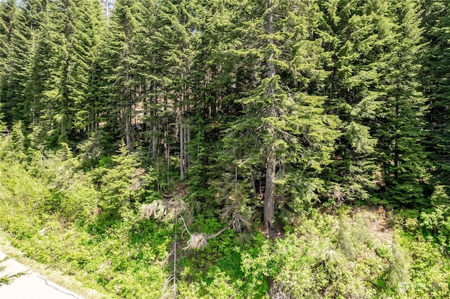 16 Ober Straase, Snoqualmie Pass, WA 98068