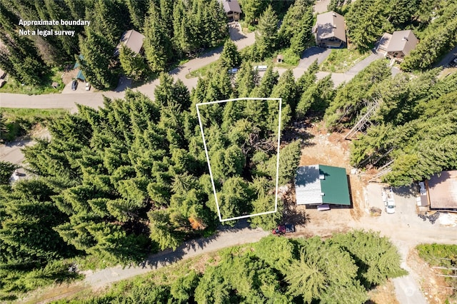 16 Ober Straase, Snoqualmie Pass, WA 98068