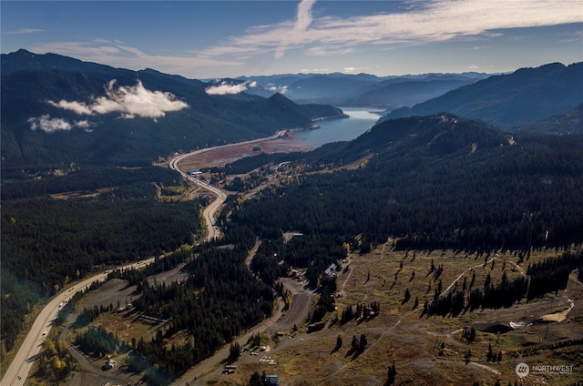 16 Ober Straase, Snoqualmie Pass, WA 98068