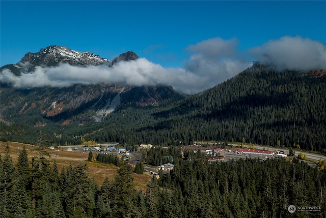 16 Ober Straase, Snoqualmie Pass, WA 98068