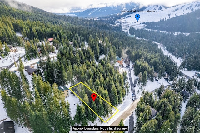 16 Ober Straase, Snoqualmie Pass, WA 98068