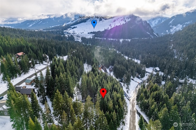 16 Ober Straase, Snoqualmie Pass, WA 98068