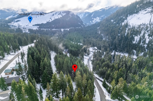 16 Ober Straase, Snoqualmie Pass, WA 98068