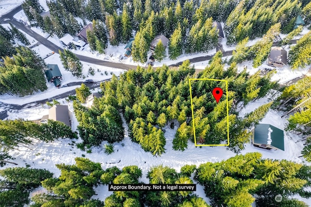 16 Ober Straase, Snoqualmie Pass, WA 98068