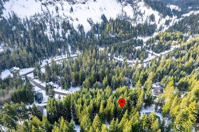 16 Ober Straase, Snoqualmie Pass, WA 98068