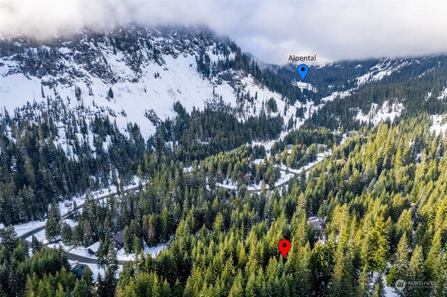 16 Ober Straase, Snoqualmie Pass, WA 98068