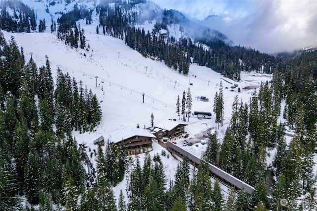 16 Ober Straase, Snoqualmie Pass, WA 98068