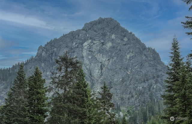 16 Ober Straase, Snoqualmie Pass, WA 98068