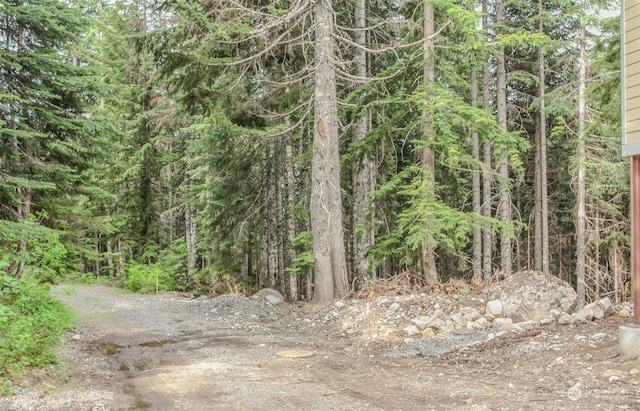 16 Ober Straase, Snoqualmie Pass, WA 98068