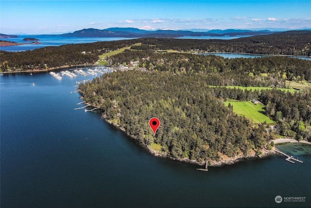 aerial view featuring a forest view and a water and mountain view