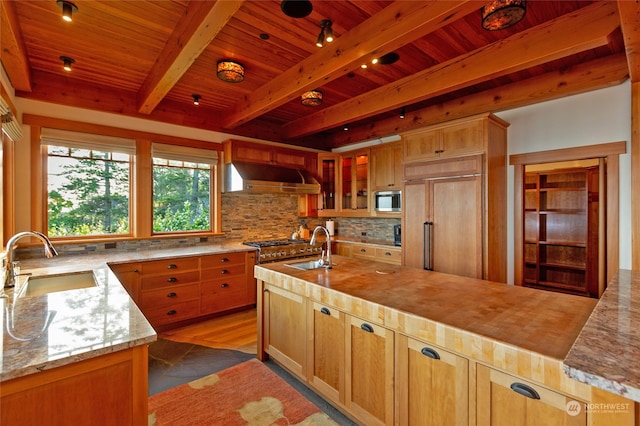 kitchen featuring light hardwood / wood-style floors, light stone counters, built in appliances, exhaust hood, and sink