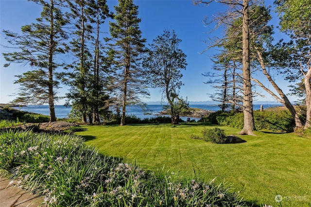 view of yard with a water view