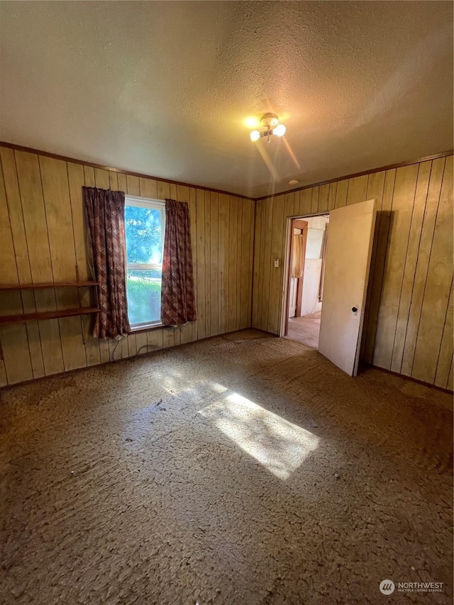 spare room featuring wooden walls, carpet, and a textured ceiling