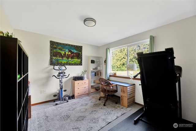 view of carpeted office space