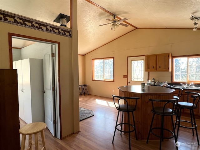 kitchen featuring a textured ceiling, vaulted ceiling, hardwood / wood-style floors, and a wealth of natural light