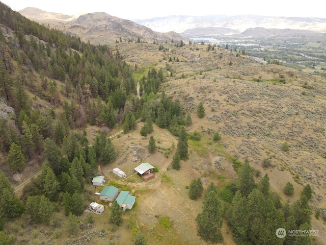 drone / aerial view featuring a mountain view